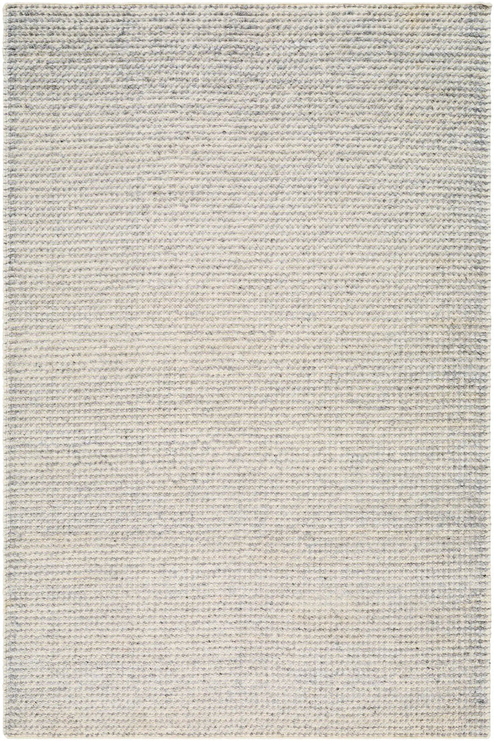 Hand Woven Reika Cream and Gray Recycled Pet Yarn Rug