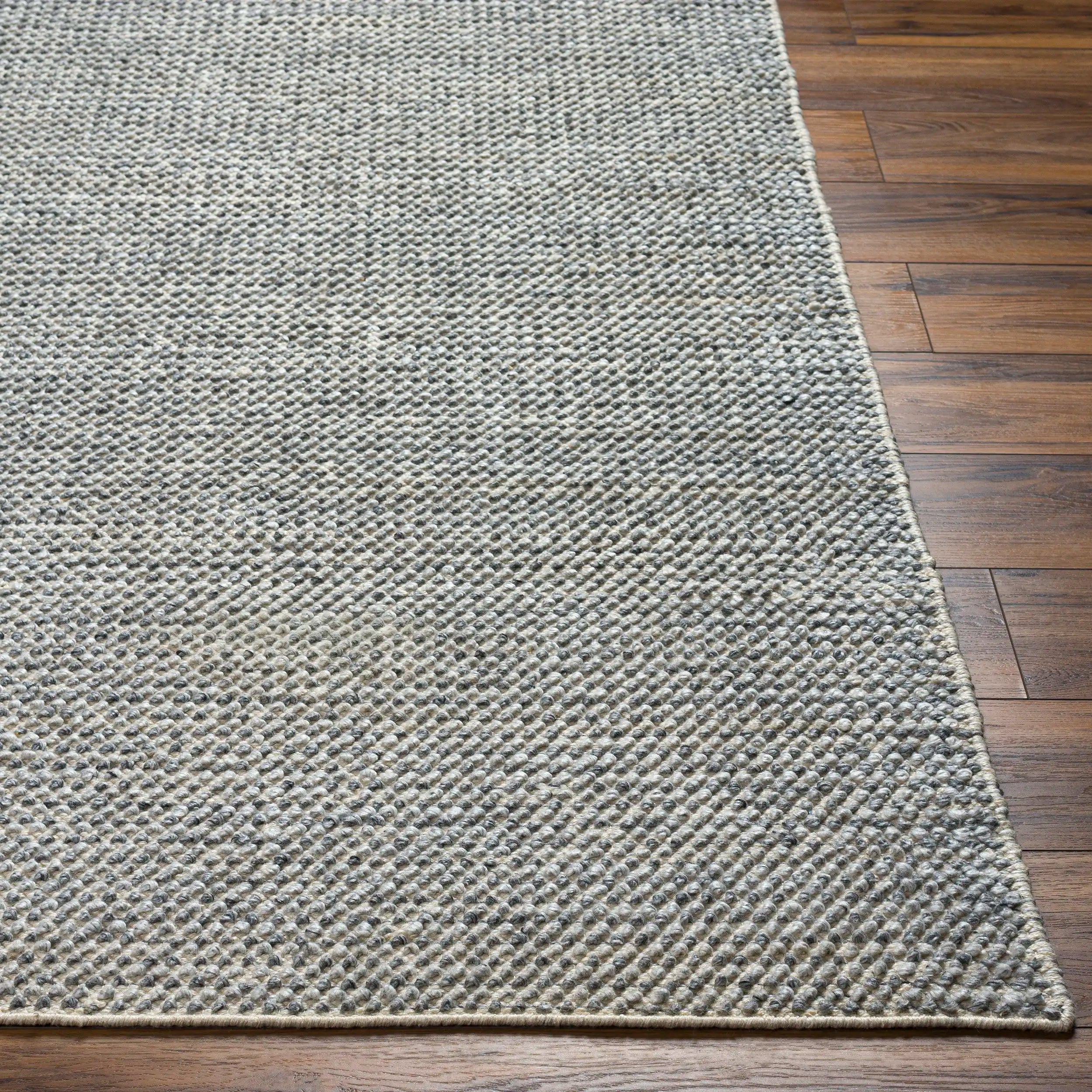 Hand Woven Reika Cream and Gray Recycled Pet Yarn Rug