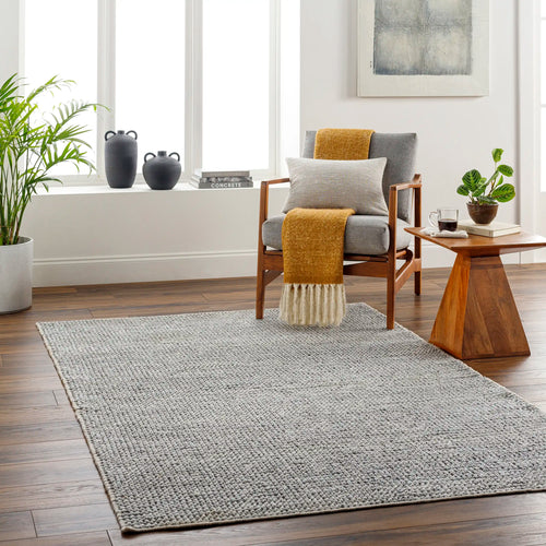 Hand Woven Reika Cream and Gray Recycled Pet Yarn Rug