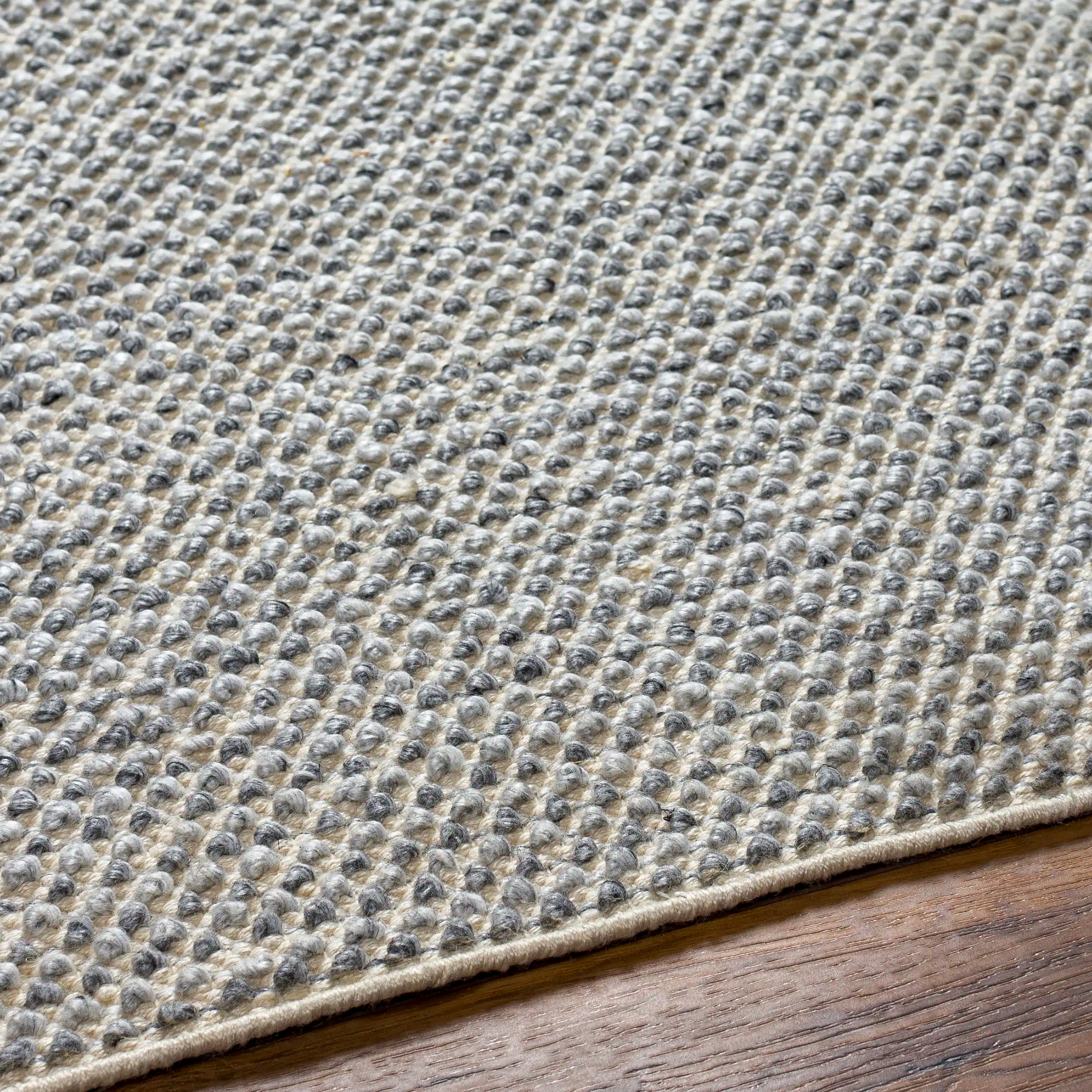 Hand Woven Reika Cream and Gray Recycled Pet Yarn Rug