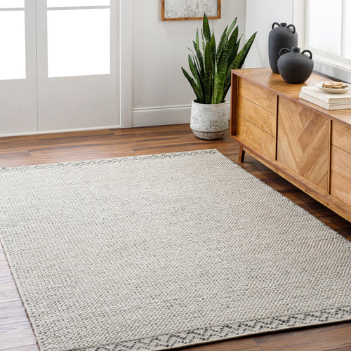 Reika Hand Woven Beige and Gray Recycled PET Yarn Rug